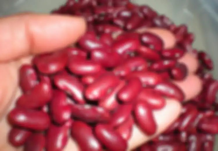 Makanan Peredam Perut Kembung