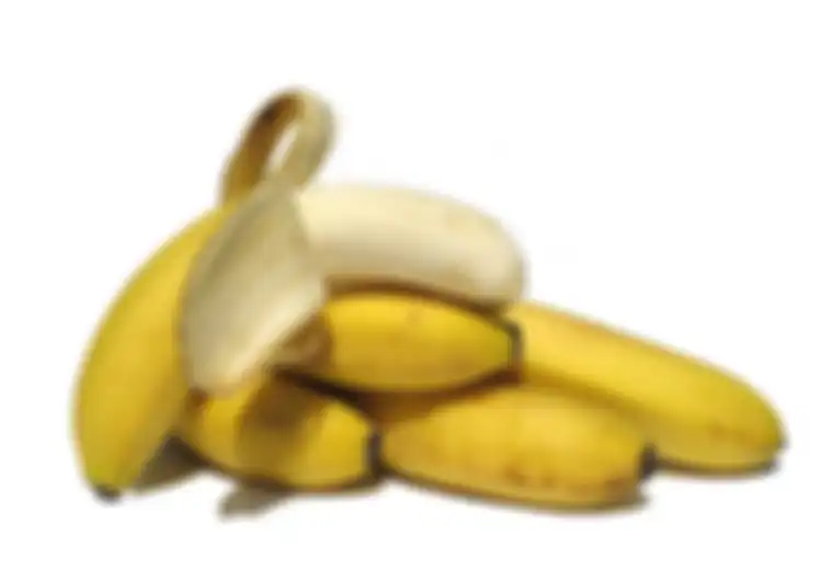 Makanan Baik dan Buruk untuk Pencernaan