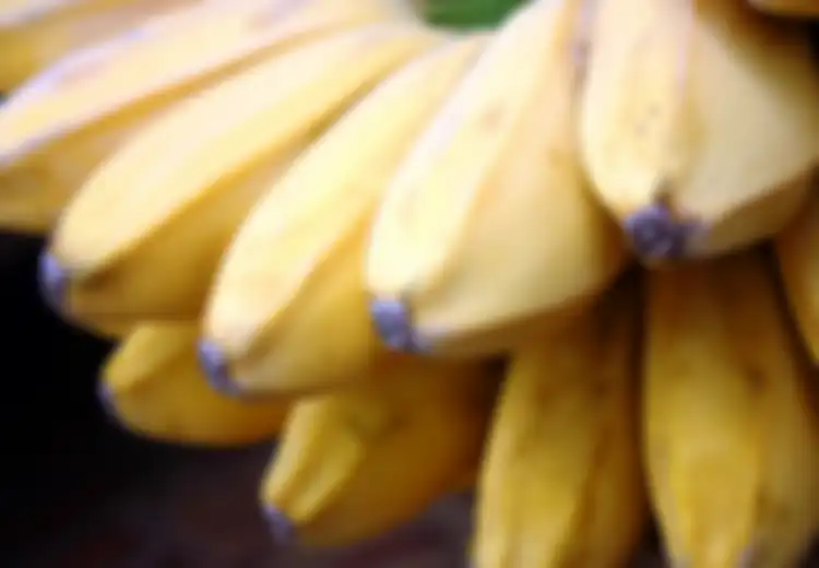 Kunyit dan Pisang Ampuh Melindungi Lambung