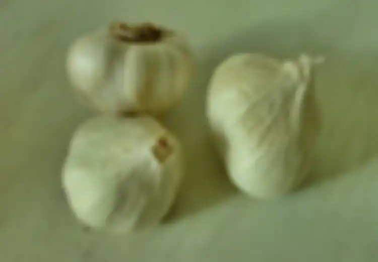 Lawan PJK dengan Bawang