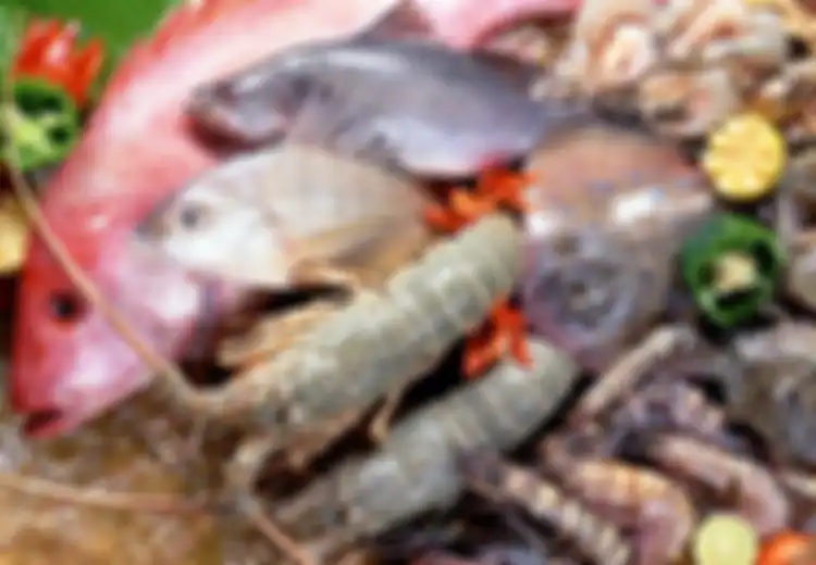 Konsumsi Seafood Demi Jantung Sehat