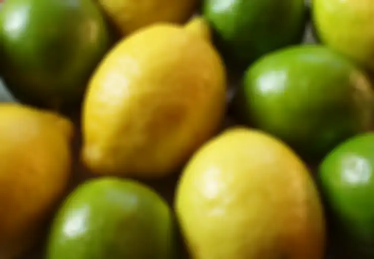 Jeruk Lemon atau Jeruk Nipis Tak Ada Bedanya, Dua-duanya Efektif Membakar Kalori