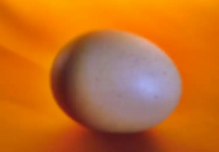 Sekali Lagi: Soal Telur