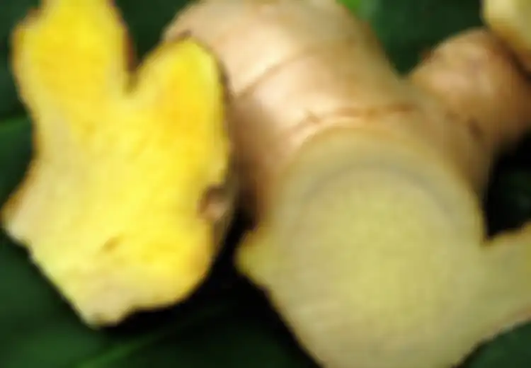 Obat Dari Dunia Rempah-rempah