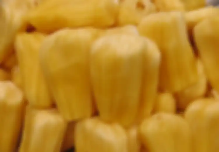 Manfaat Kesehatan Nangka