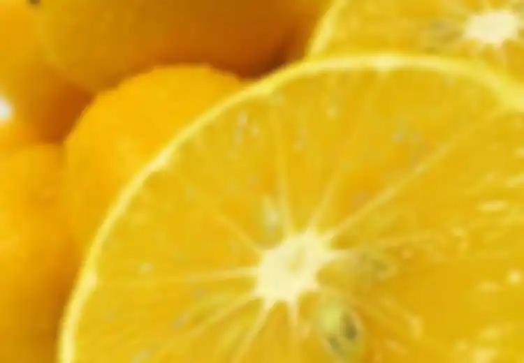 Jeruk Lemon Nan Menyehatkan