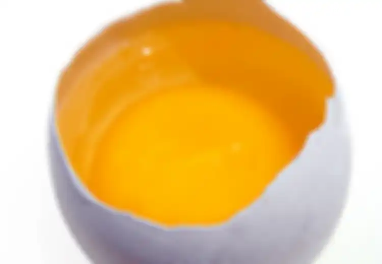 Telur: Sumber Protein, Sumber Salmonella