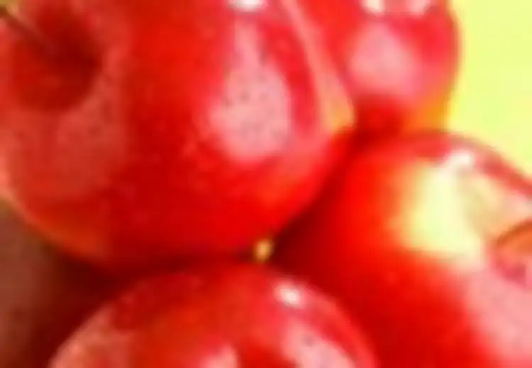 Profil Buah & Sayur: Apel
