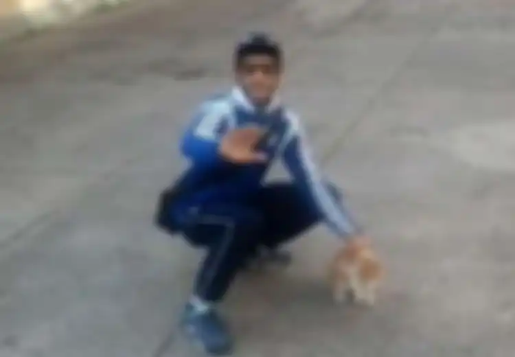 Lempar Kucing Sembarangan Hasilnya Penjara Setahun