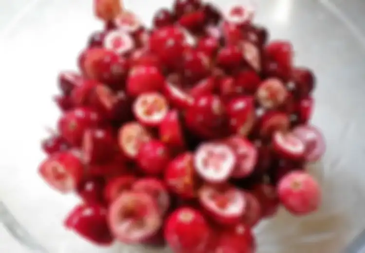 Cranberry Menghambat Bakteri