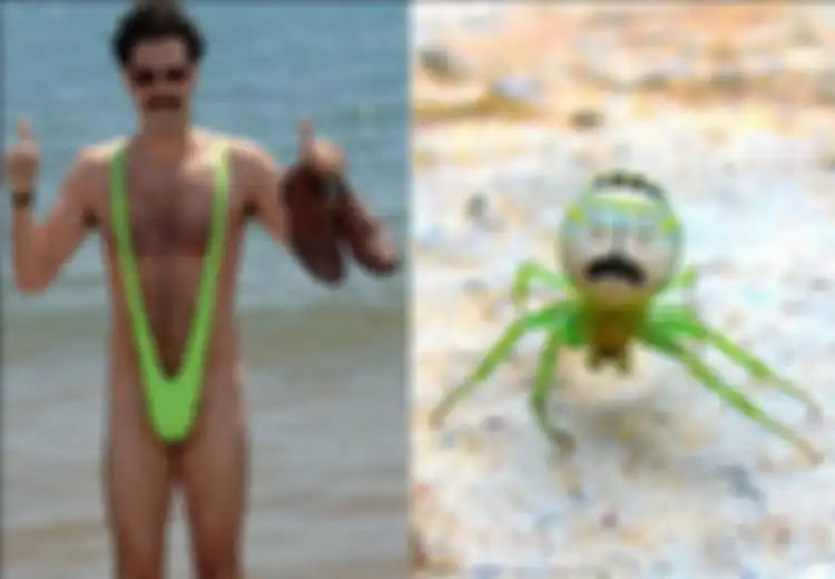 Laba-laba ini Mirip Sekali dengan Borat