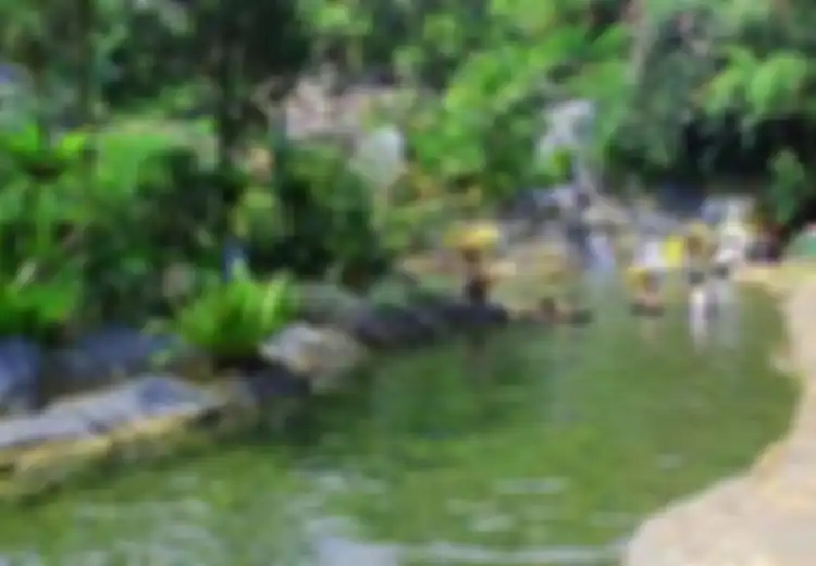 Berendam Air Panas di Kaki Tangkubanparahu