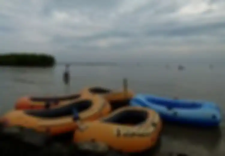 Menyembuhkan Penyakit Kulit Dan Stroke Di Pantai Kejawanan