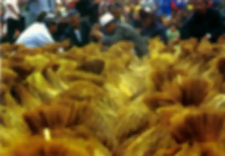 Angkat Topi untuk Banten Kidul