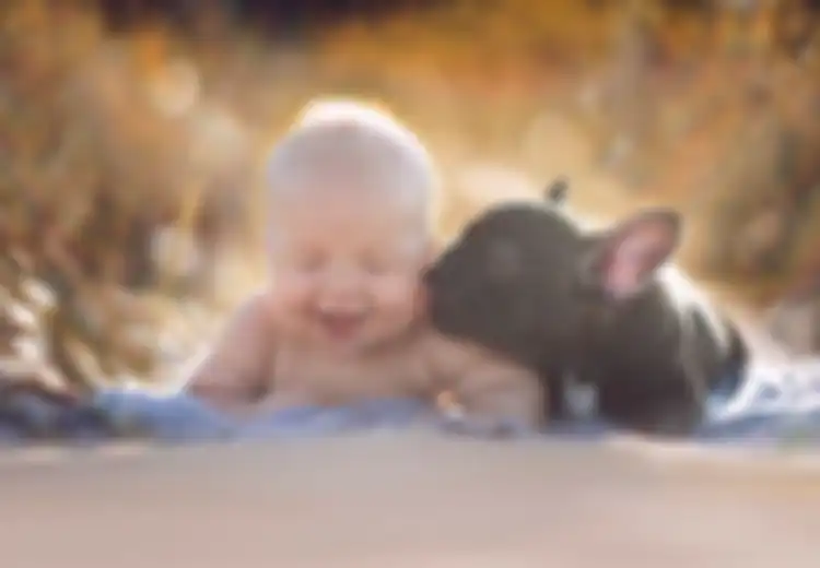 Bayi dan Anjing Bulldog Ini Lahir, Makan, Tidur dan Mandi Bersama