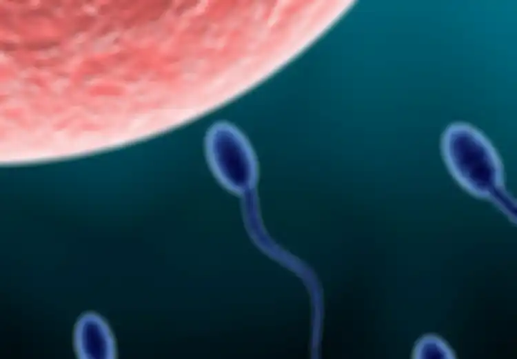 Cara Memperoleh Sperma Berkualitas