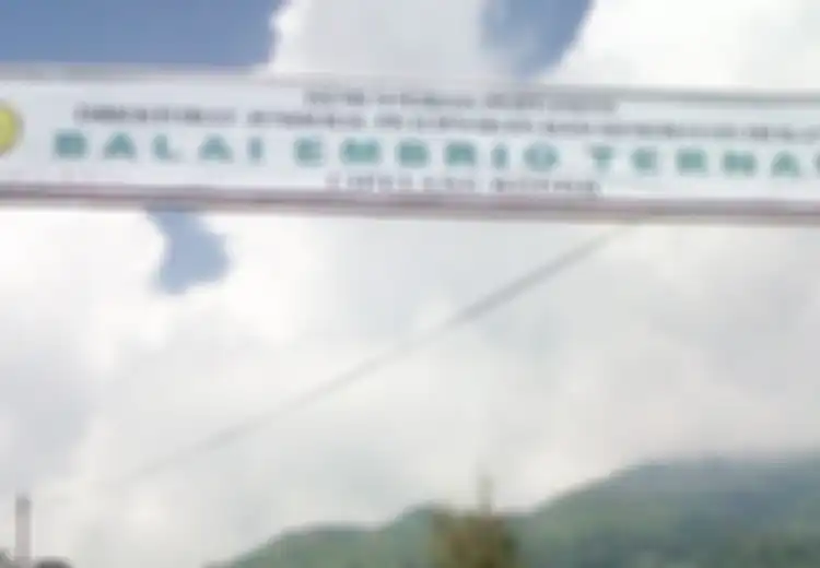 Apa Itu BET Cipelang?