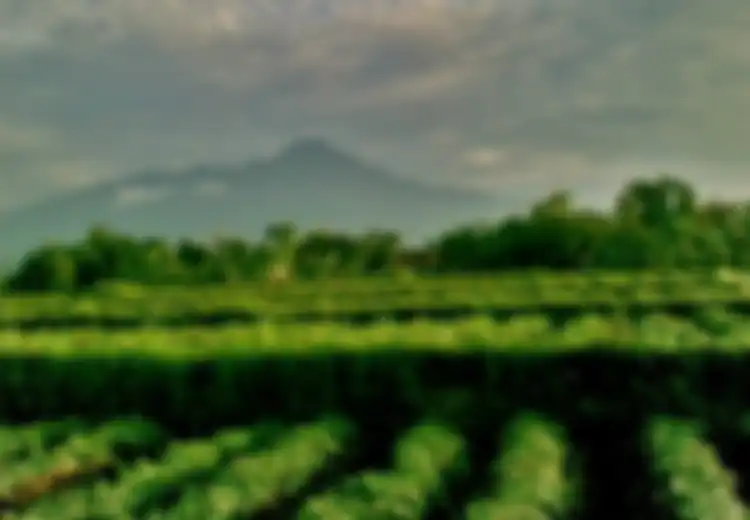 TNGHS, Kawasan Penting di Jawa Barat