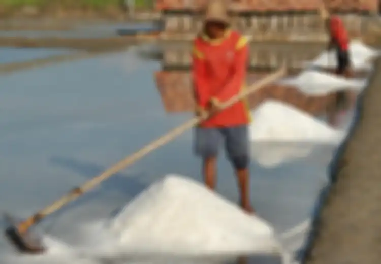 Ironi Garam di Negeri Bahari