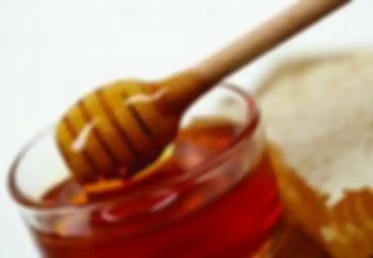 Madu, Anugerah Dari Lebah
