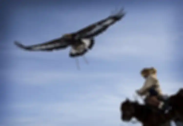 (FOTO) Lords of the Birds