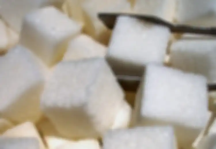 Ketahui Prinsip Dasar Nutrisi