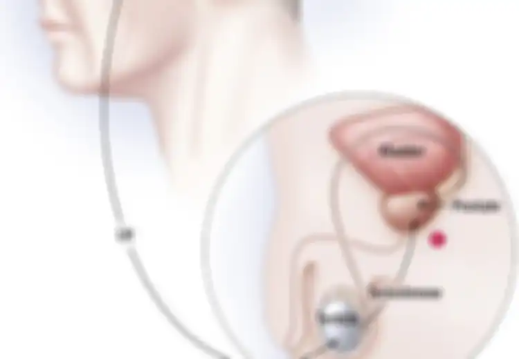 Hipotalamus Terganggu, Testis Pun Terganggu