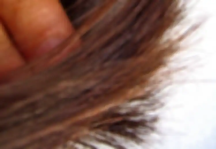 Tips Mengatasi Rambut Rontok