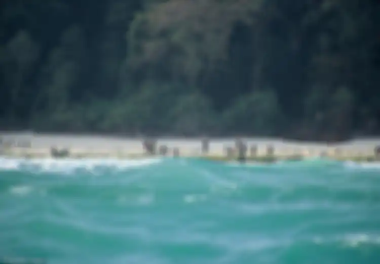 Nekat Masuk ke Pulau Terlarang untuk Sebarkan Agama, Pria Ini Dibunuh Penduduk Suku yang Terkenal 'Buas'