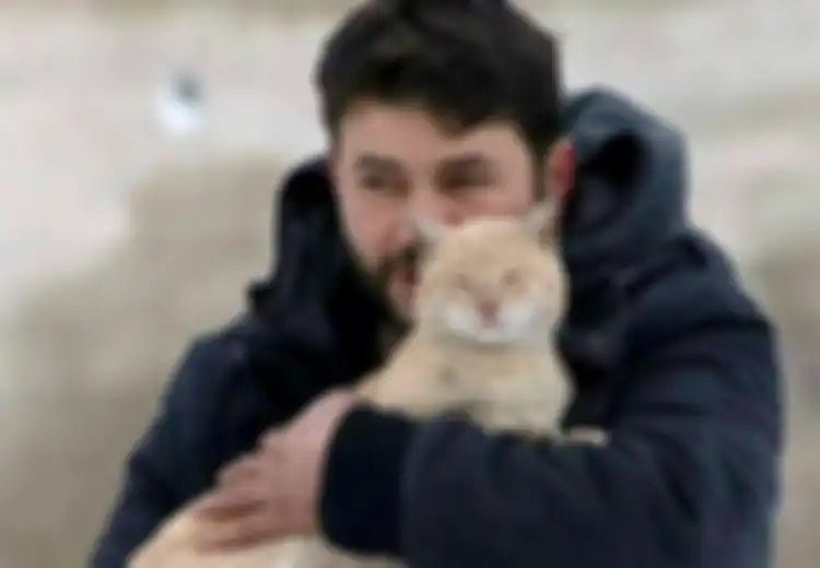 Oh, Ternyata Ini Alasannya Kenapa Kucing Dan Anjing Suka Dielus Kepalanya