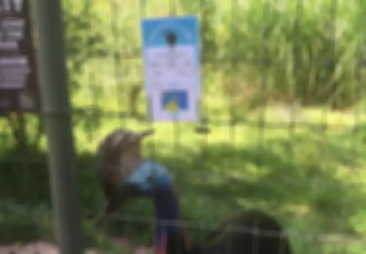 Kreatif, Penjaga Kebun Binatang Ini Membuat Keterangan Hewan ala Game Pokemon Go