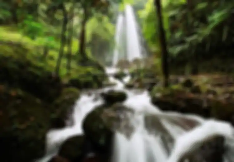 Liburan 3 in 1 ala Wisata Alam Trawas