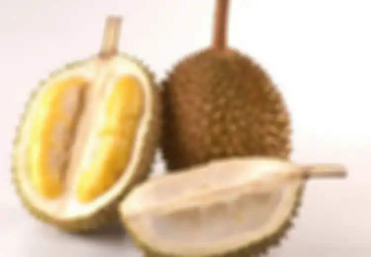 Begini Cara Ampuh Mengemas Durian Agar Baunya Tidak Tercium, Mudah Kok!