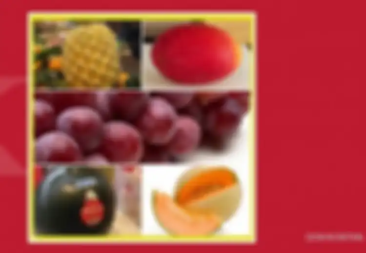 Inilah Daftar Buah Termahal di Dunia, Salah Satunya Dijual Rp300 Juta