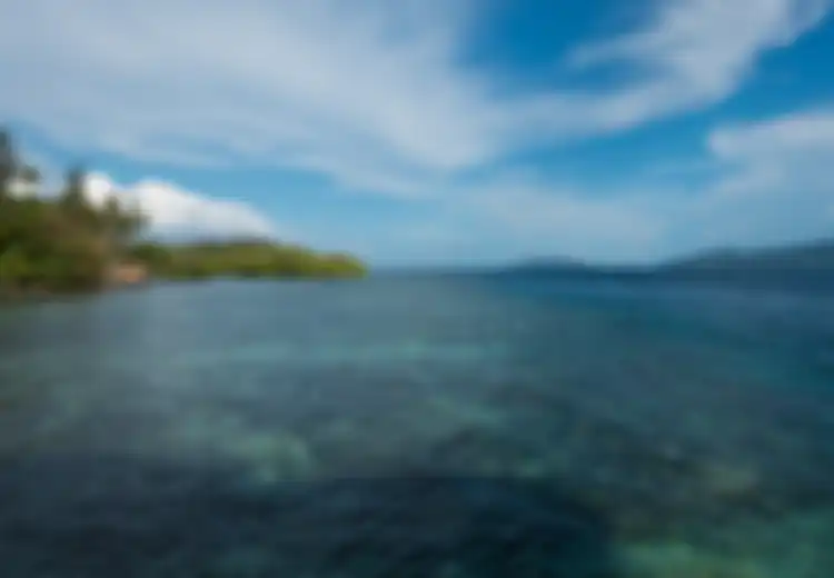 Pagi Hari di Raja Ampat, Sajian Audio-Visual yang Mempesona Jiwa