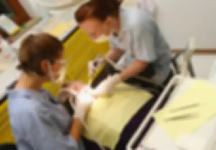 Kenapa Kita Wajib ke Dokter Gigi Setiap Enam Bulan? Ternyata Alasannya Tak Seperti yang Kita Bayangkan