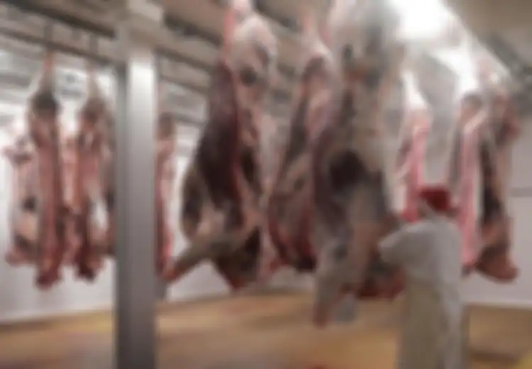 Kota Terbesar di Belgia Ini Larang Penyembelihan Hewan Secara Halal, Muslim Setempat Khawatir