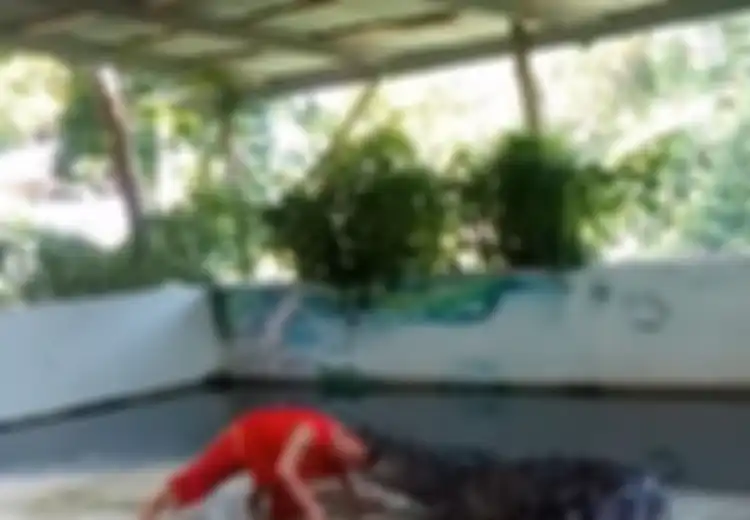 (VIDEO) Maksud Hati Memberikan Pertunjukan Unik, Hasilnya Malah Membuat Penonton Menjerit Ngeri