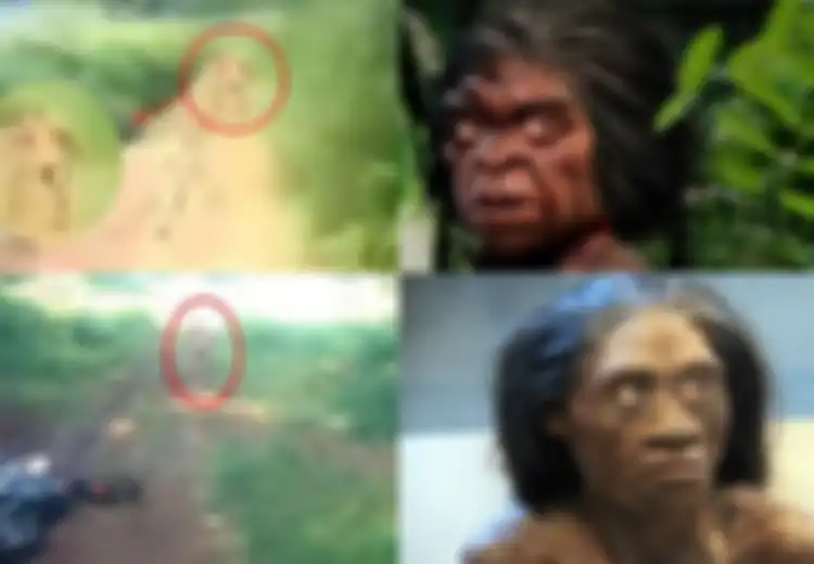 Misteri Suku Mante, Kelompok Manusia Kerdil Di Pedalaman Aceh