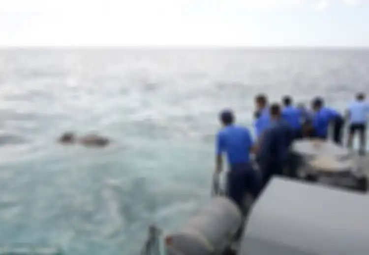 Terombang-ambing Setelah Berenang Sejauh 8 Km, Gajah Ini Bikin Angkatan Laut Sri Langka Kebingungan