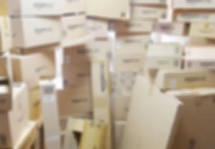 Aneh bin Unik, Bukan Pemulung tapi Pria Ini Punya Kegemaran Mengoleksi Kardus Bekas Amazon, Buat Apa Ya?
