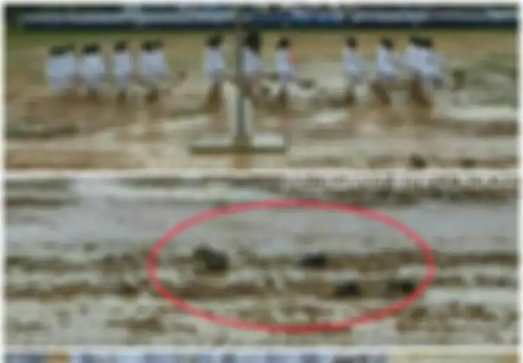 Salut! Bertugas di Atas Lapangan Berlumpur Sampai Sepatu Terlepas, Paskibraka Ini Tetap Bertugas dengan Baik