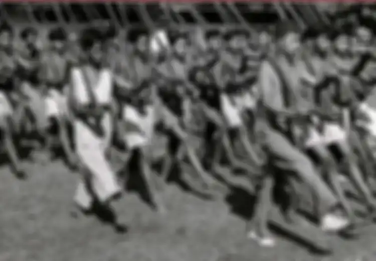 Jangan Salah, Setelah Merdeka Pemerintah RI Dikawal oleh Laskar-Laskar yang di Antaranya Terdiri Atas Para Bajingan