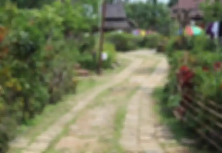 (Video) Desa Ini Mengklaim Sebagai Desa Terbersih di Asia dan Bisa Menjadi Contoh Bagi Desa Lain di Dunia