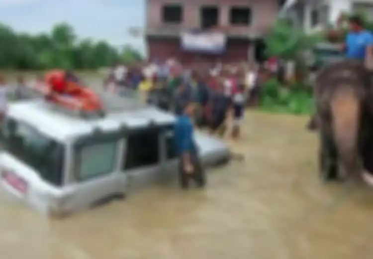 Kisah Para Gajah di Nepal yang Selamatkan Ratusan Jiwa Penduduk dari Terjangan Banjir Bandang