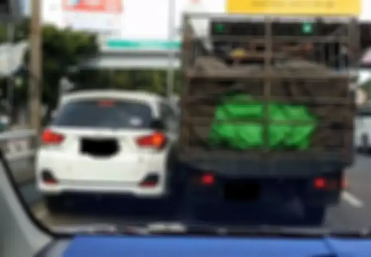(Video) Saat Mobilio dan Truk Rebutan Masuk Pintu Tol, Siapa yang Salah?
