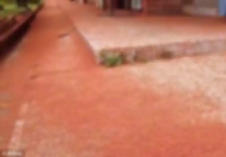 Wow, Jalanan dan Tanah di Pulau Ini Mendadak Seperti Karpet Merah, Ternyata Ini Sebabnya