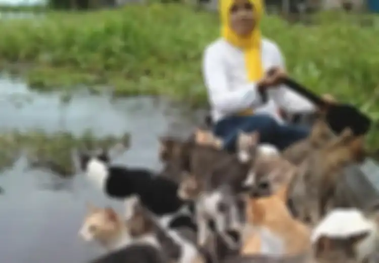 Salut, Bikin Panti Asuhan Kucing, Penjual Es Blender Ini Sudah Selamatkan 500 Kucing Terlantar