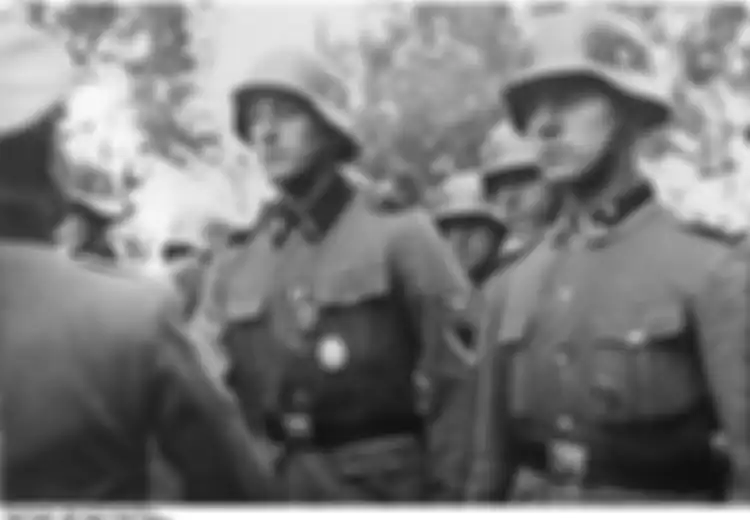Bukan Hanya Orang Bule, Orang Indonesia Juga Ada yang Jadi Tentara Nazi