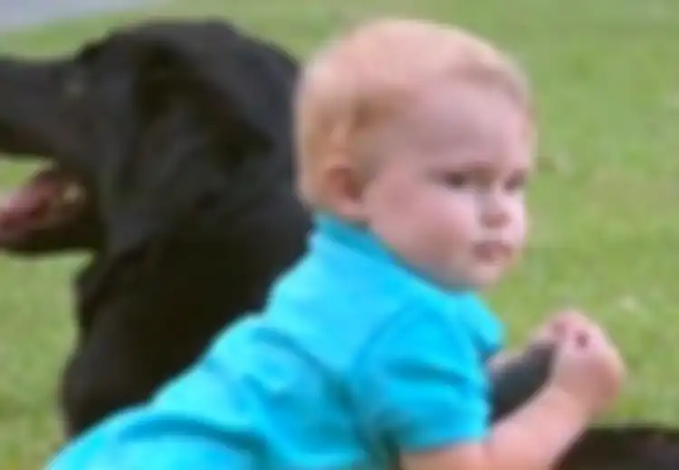 Bayi Ini Selamat dari ‘Babysitter’ yang Sering Bersikap Kasar Kepadanya Berkat Seekor Anjing